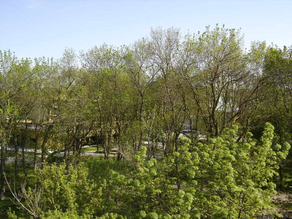 קברנה Central Park Family Hotel מראה חיצוני תמונה