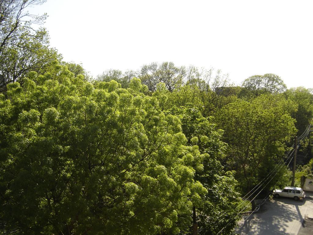 קברנה Central Park Family Hotel מראה חיצוני תמונה